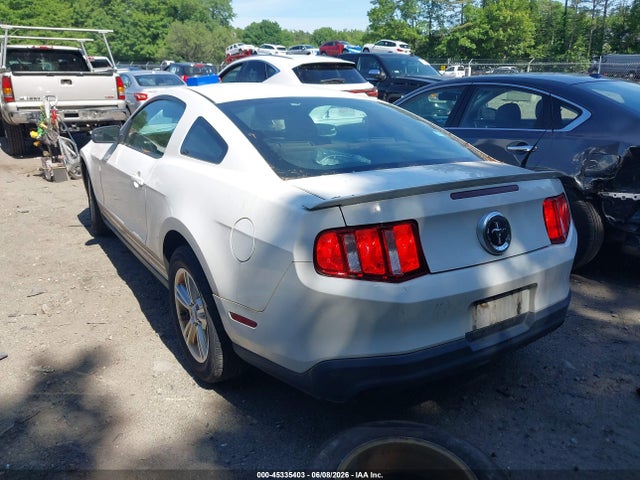 Ford Mustang V6