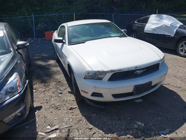 Salvage Ford Mustang Image