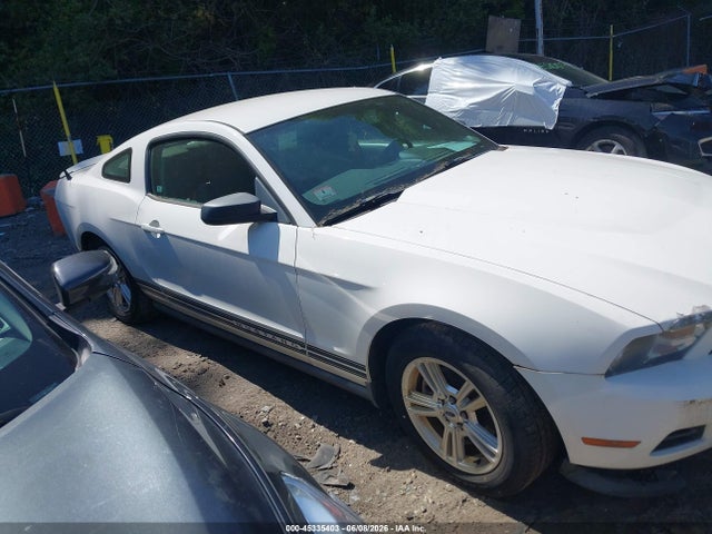 Ford Mustang V6