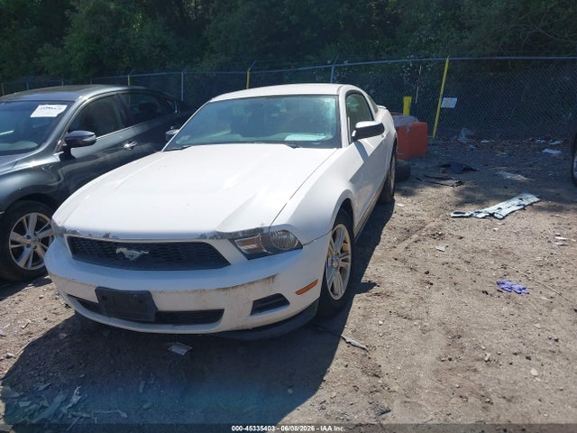 Ford Mustang V6