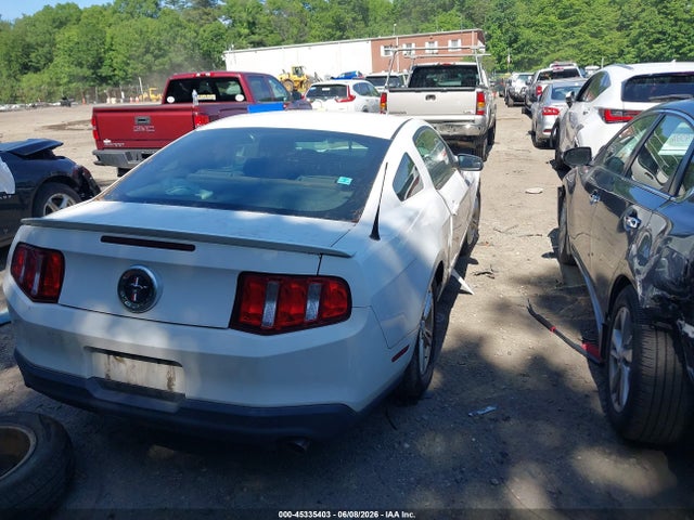 Ford Mustang V6