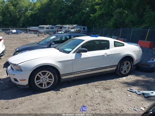 Ford Mustang V6