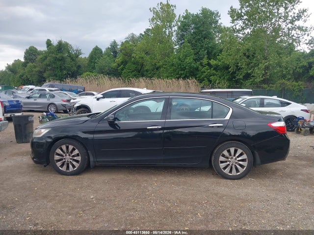Honda Accord Ex-l V-6