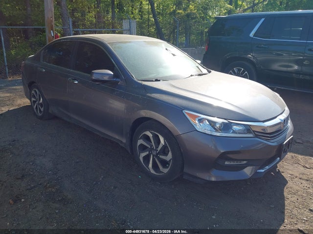 Salvage Honda Accord Image