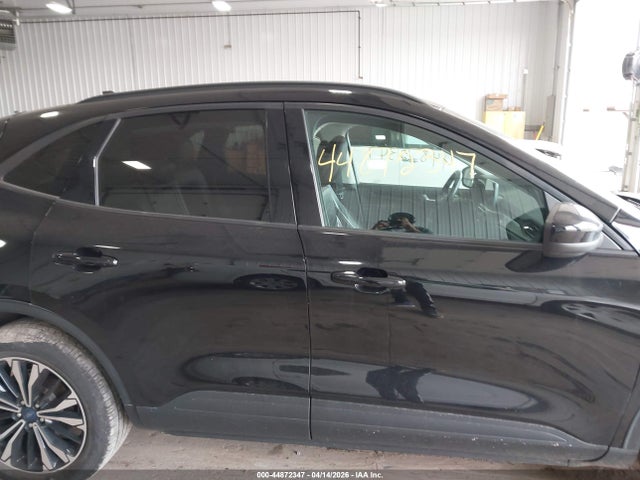 Ford Escape Sel