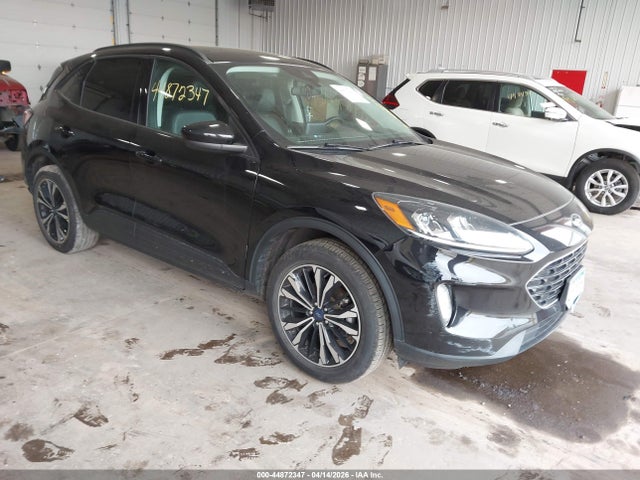 Salvage Ford Escape Image