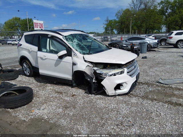 Salvage Ford Escape Image