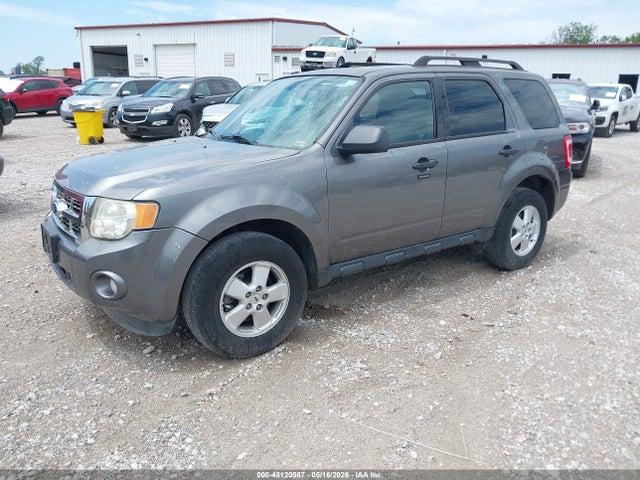 Ford Escape Xlt