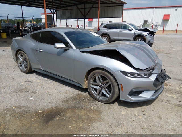 Salvage Ford Mustang Image