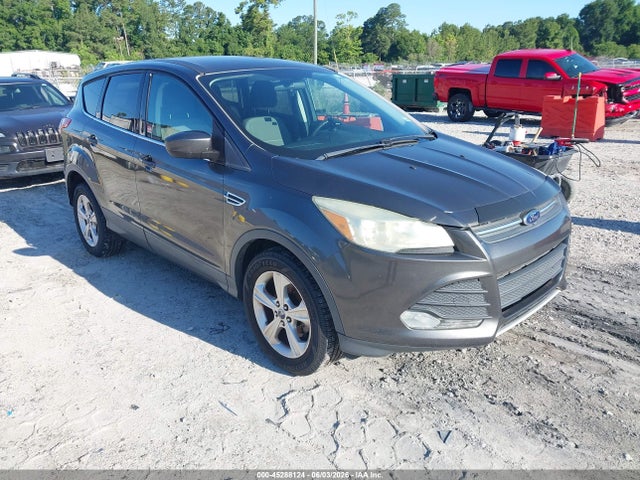 Salvage Ford Escape Image