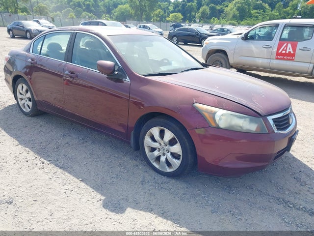 Salvage Honda Accord Image