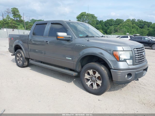 Salvage Ford F-150 Image