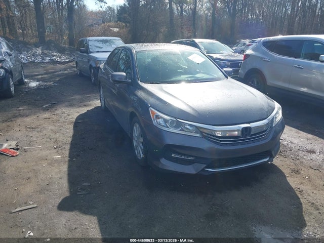 Salvage Honda Accord Image