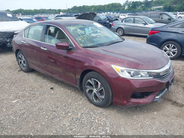 Salvage Honda Accord Image