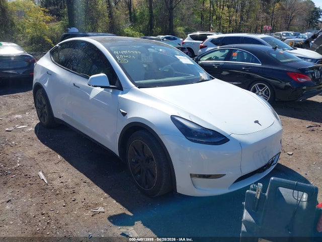 Salvage Tesla Model Y Image