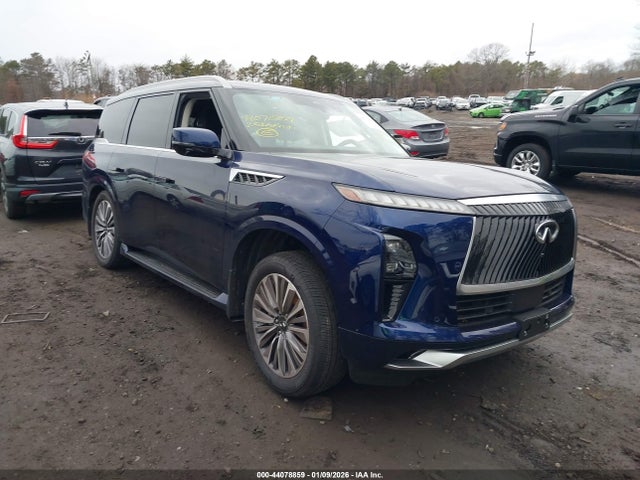 Salvage INFINITI Qx Image
