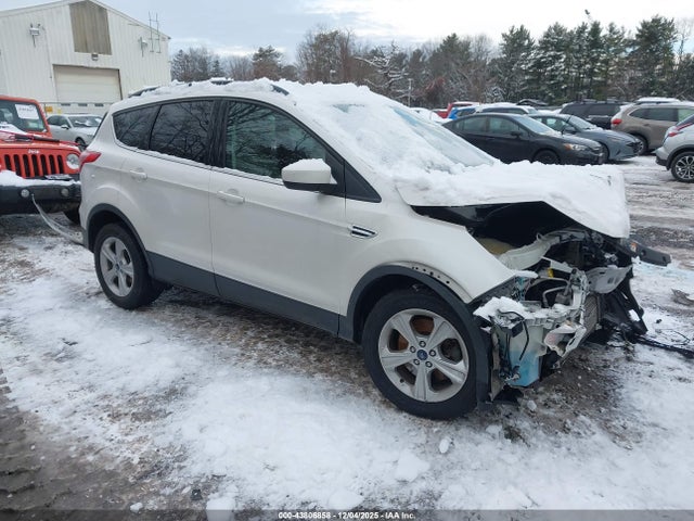 Salvage Ford Escape Image
