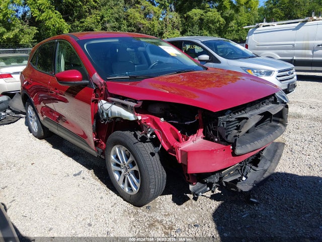 Salvage Ford Escape Image