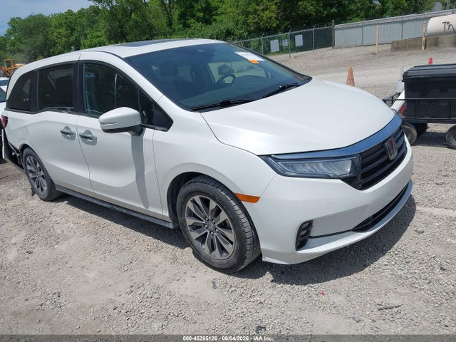 Salvage Honda Odyssey Image