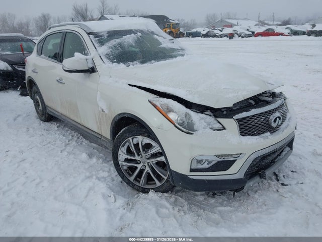 Salvage INFINITI Qx Image