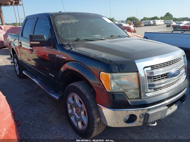 Salvage Ford F-150 Image