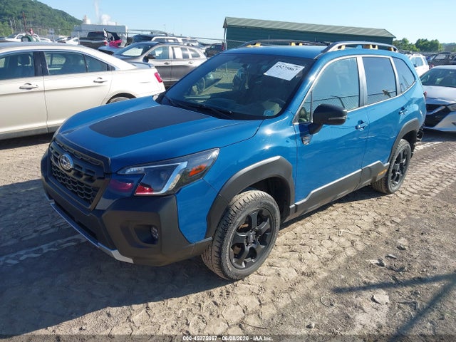 Subaru Forester Wilderness