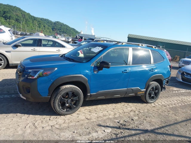 Subaru Forester Wilderness