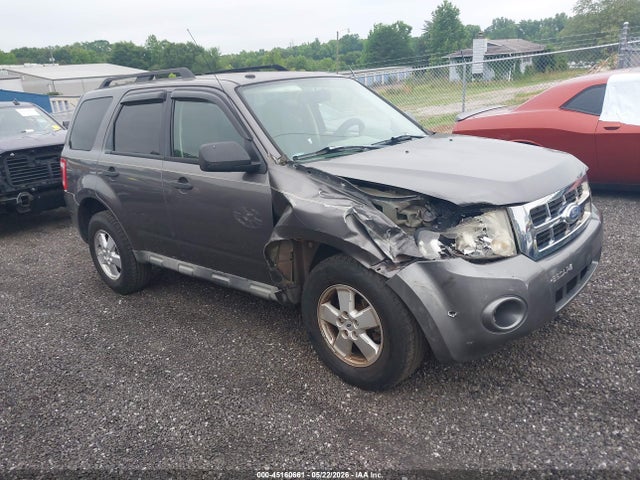 Ford Escape Xlt