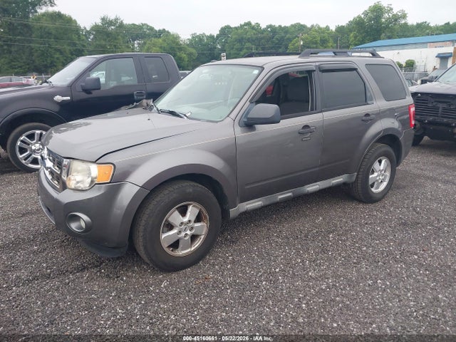 Ford Escape Xlt