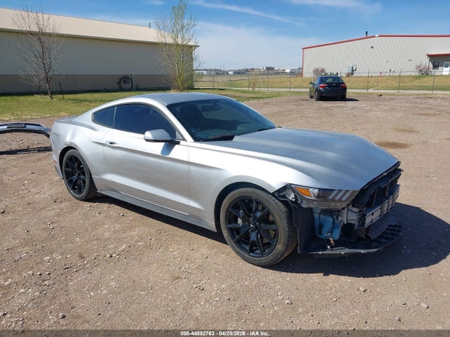 Salvage Ford Mustang Image