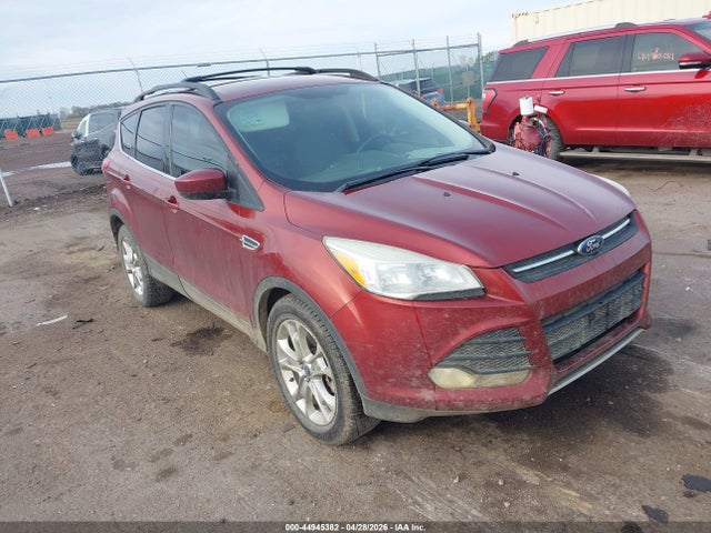 Salvage Ford Escape Image