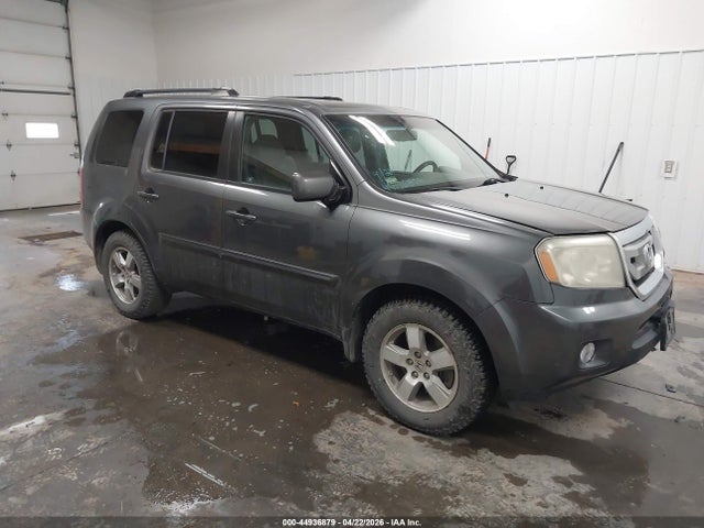 Salvage Honda Pilot Image