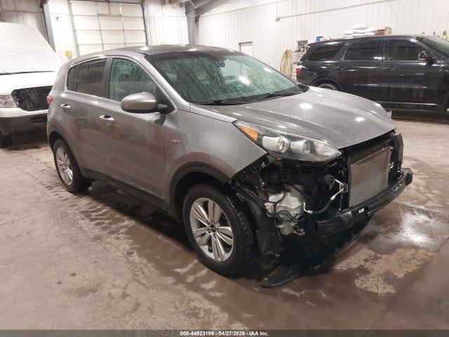 Salvage Kia Sportage Image