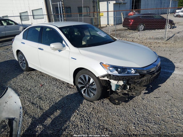 Salvage Honda Accord Image