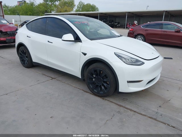 Salvage Tesla Model Y Image