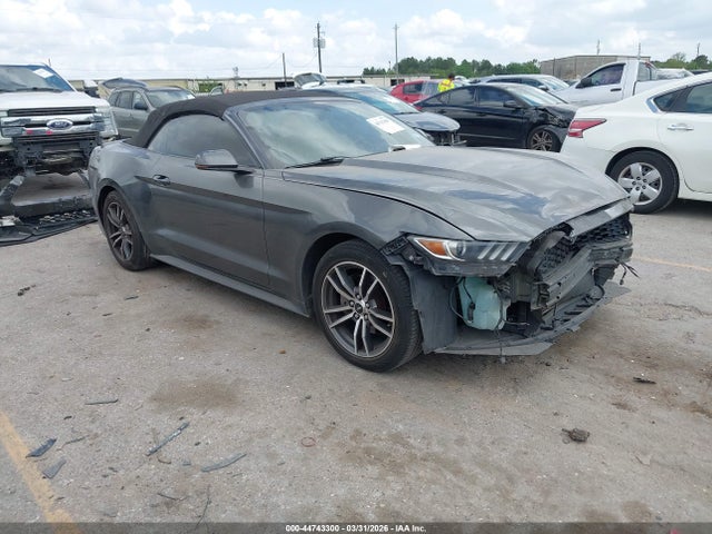 Salvage Ford Mustang Image