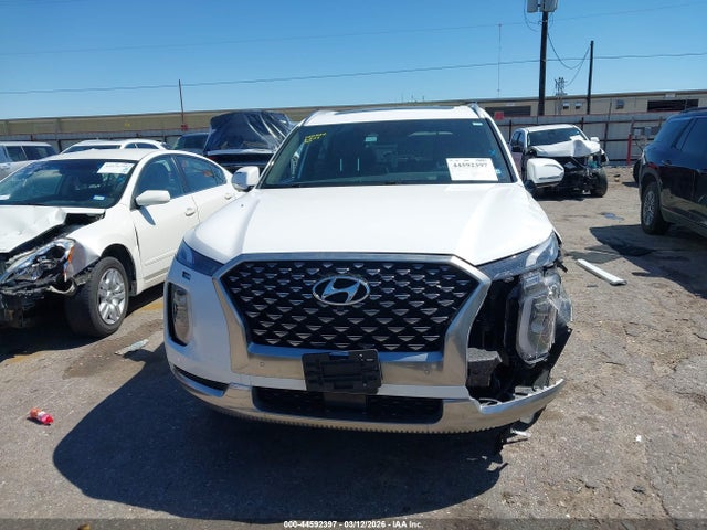 Hyundai PALISADE Calligraphy
