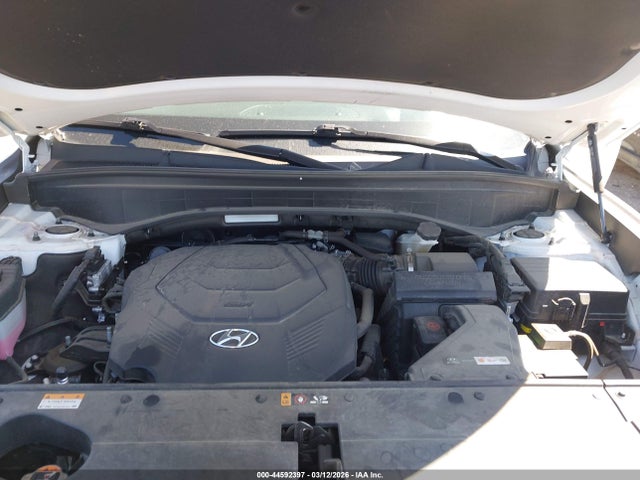 Hyundai PALISADE Calligraphy