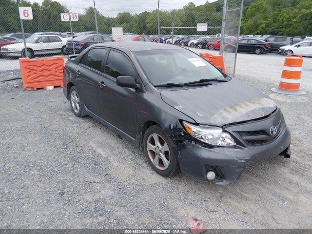 Salvage Toyota Corolla Image