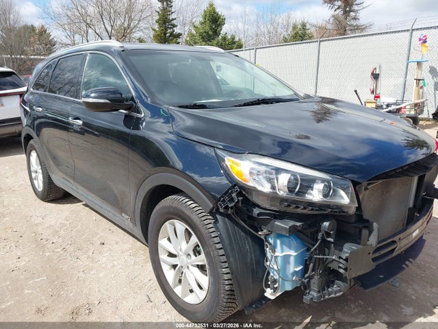 Salvage Kia Sorento Image