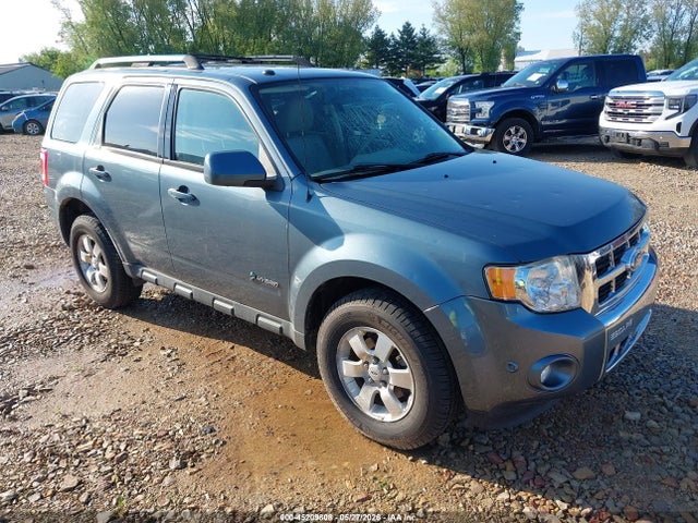 Salvage Ford Escape Image