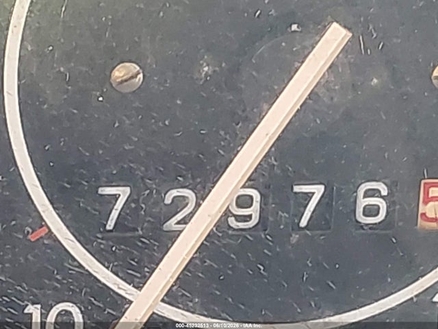 Volkswagen Bug