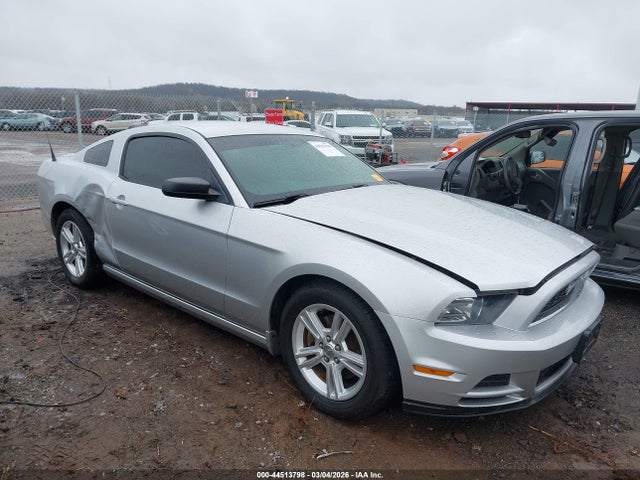 Salvage Ford Mustang Image