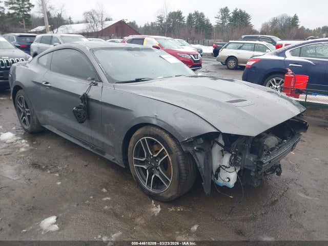 Salvage Ford Mustang Image