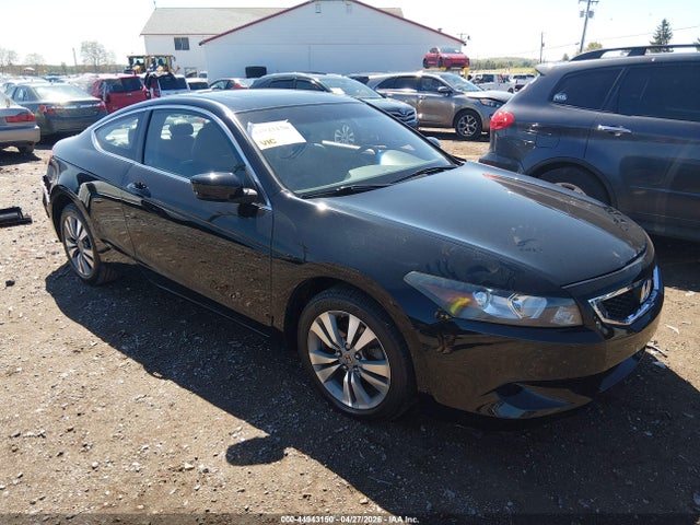 Salvage Honda Accord Image