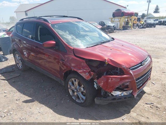 Salvage Ford Escape Image