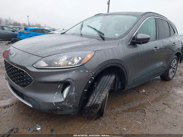 Ford Escape Sel