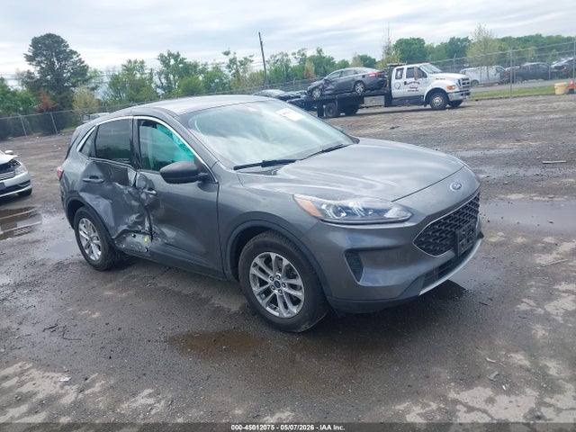 Salvage Ford Escape Image