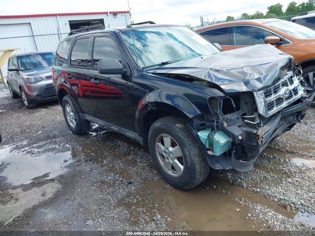 Salvage Ford Escape Image