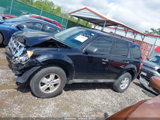Ford Escape Xlt